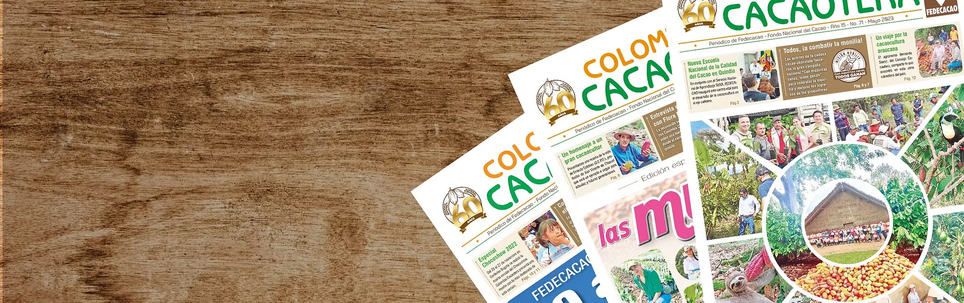 Colombia Cacaotera - El periódico de los cacaocultores colombianos